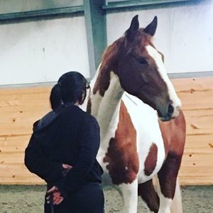 Meet your Posher, Kayla